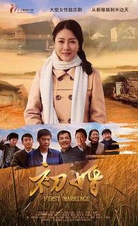 初婚电视剧,爱情与现实的交织